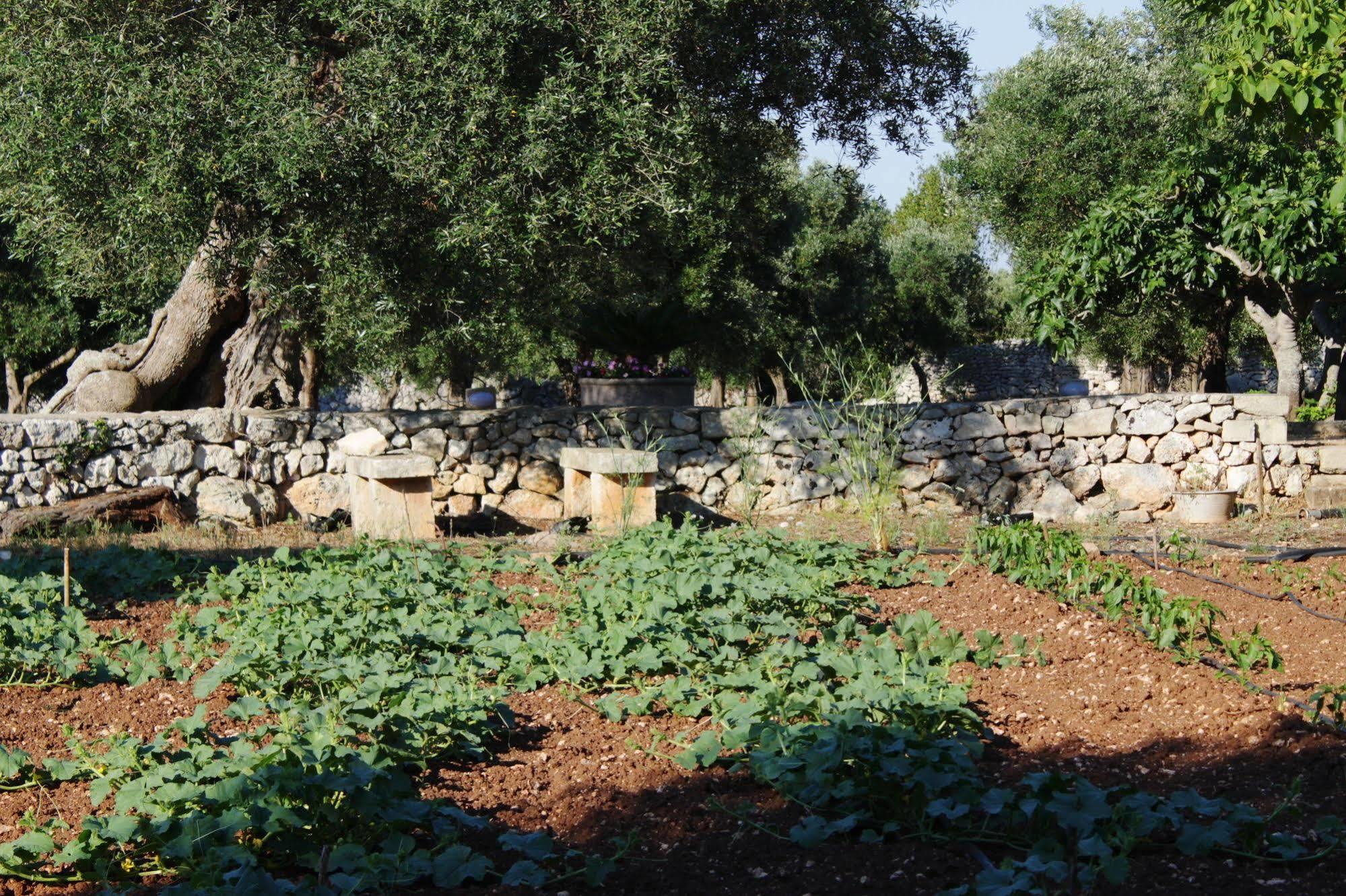 Tenuta Pigliano Hotel Bagnolo del Salento Eksteriør bilde