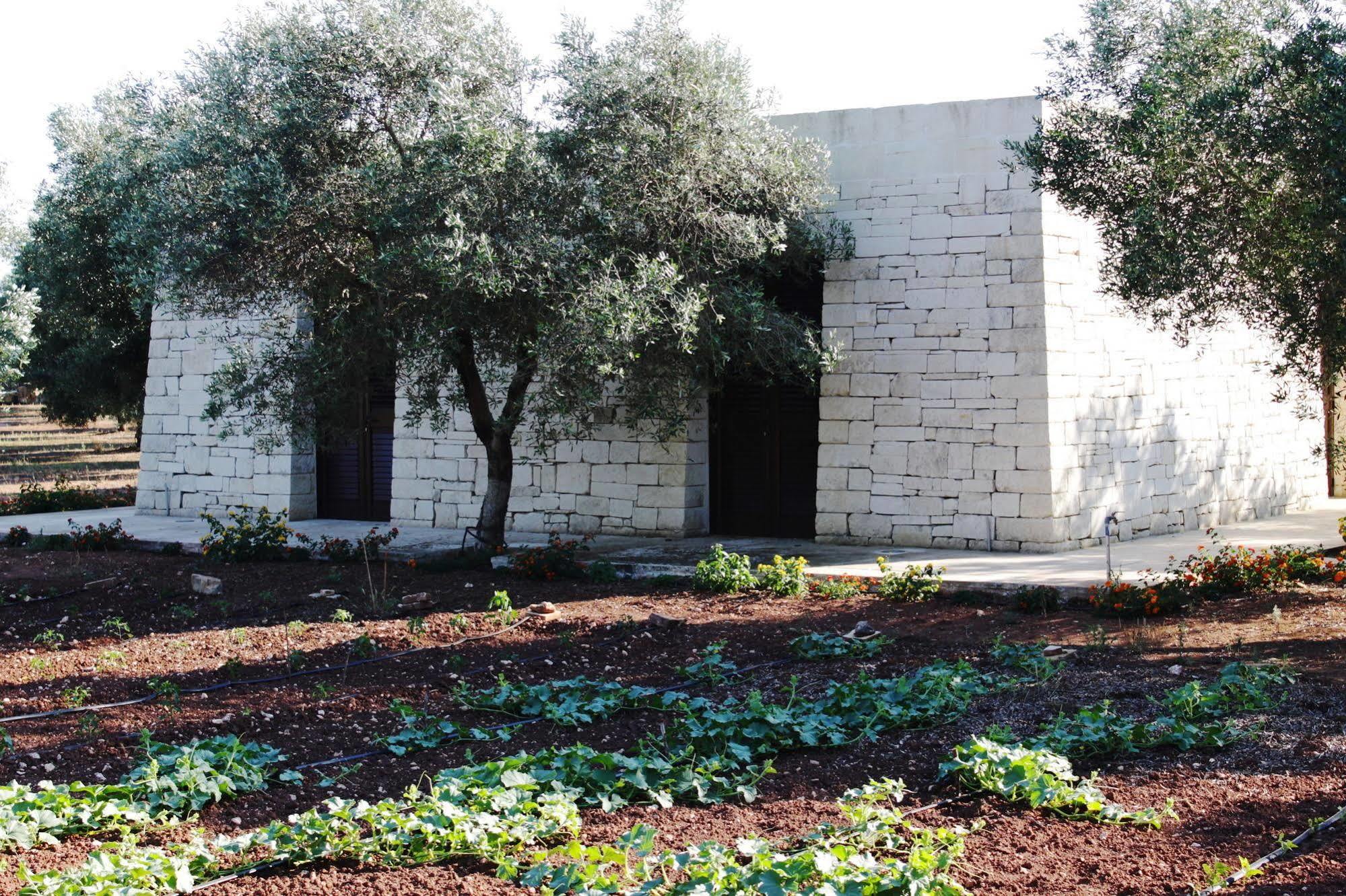 Tenuta Pigliano Hotel Bagnolo del Salento Eksteriør bilde